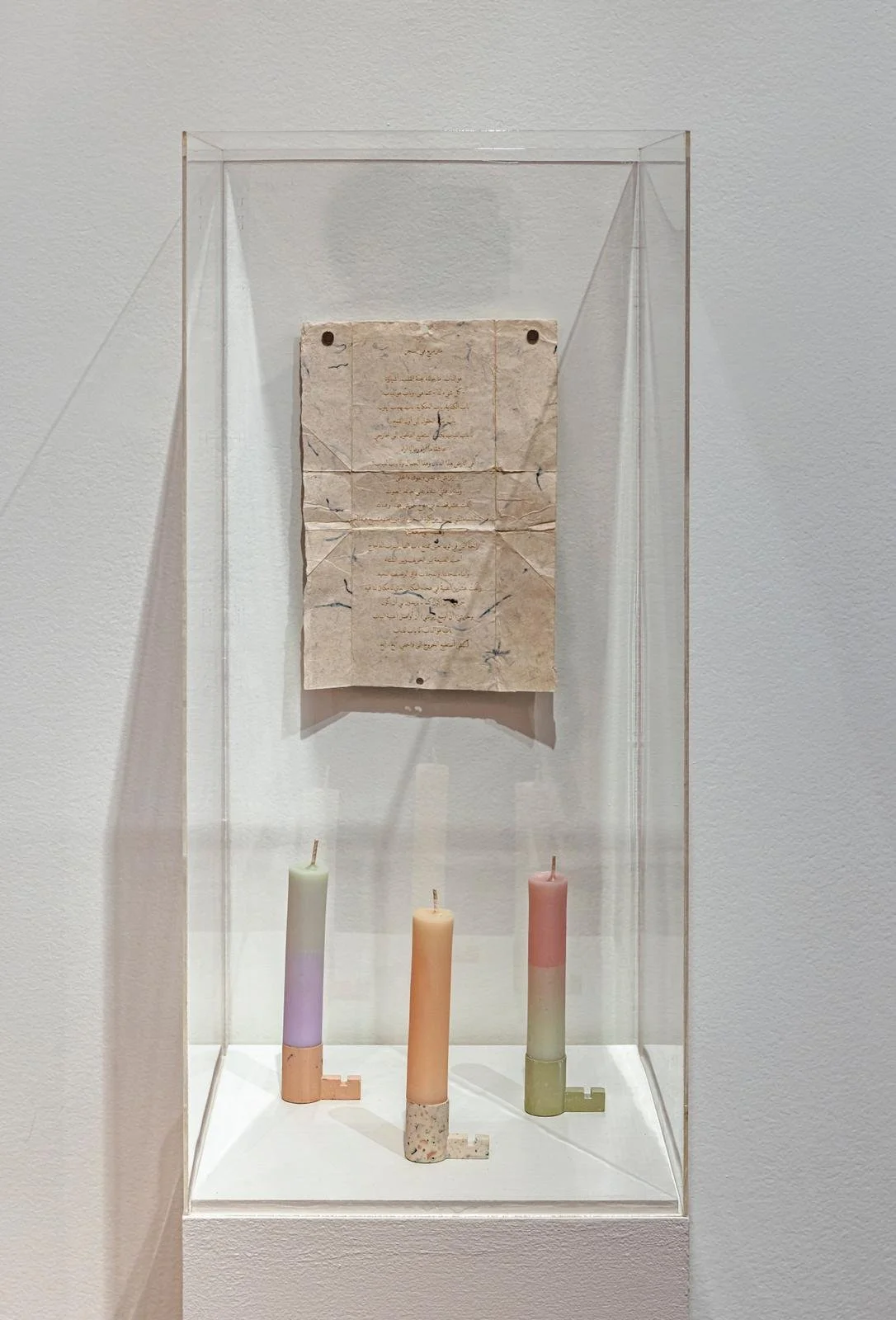 WhatsApp Image 2023-07-10 at 12.59.57 PM.jpeg