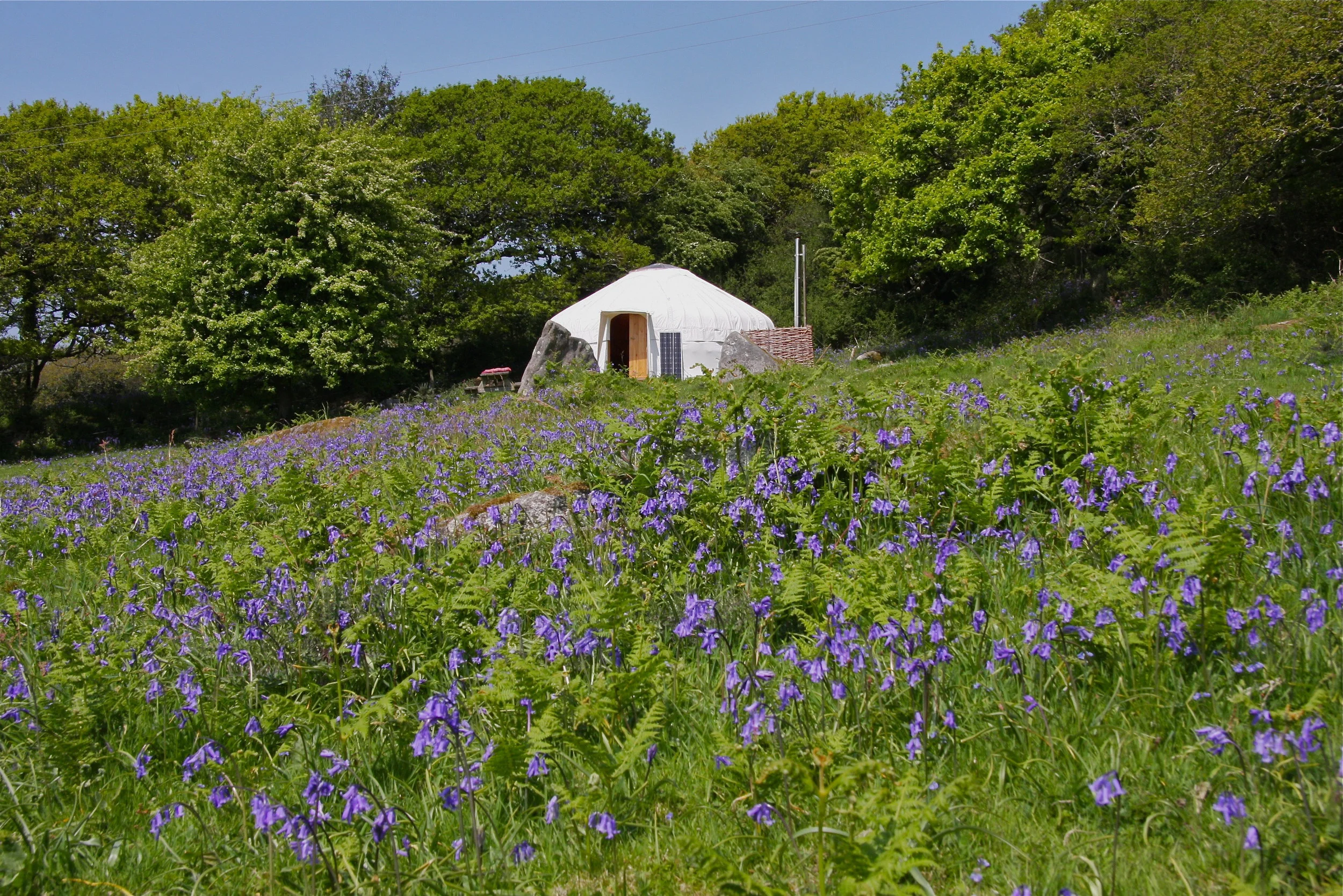 Ash Field Yurt with pod