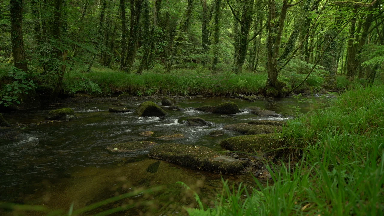 river.jpg