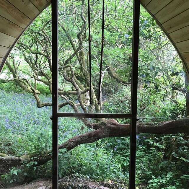 Nearly finished rebuilding the shower for Cornish Yurt holidays with beautiful Hawthorne and fallen oak through the window. Looking forward to opening in the not too distant..Spent a lot of time thinking about indoors and outdoors over past weeks. Th