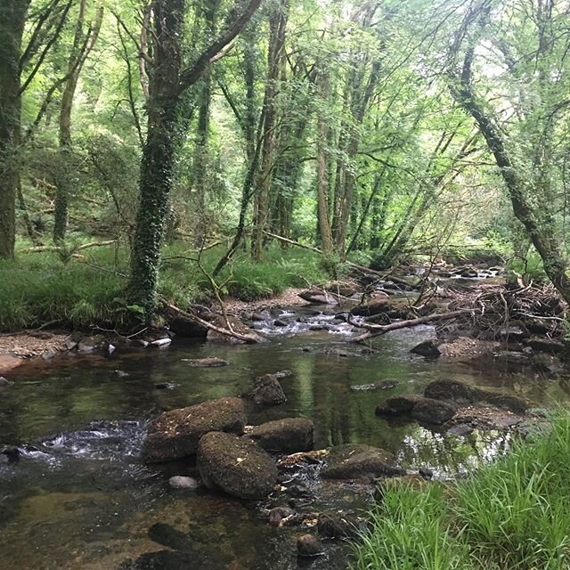 Same view just a few dry months apart. Grateful for the rain today. . #watercycle #rewilding #crookedriver #rivercamel #mindfulnessinnature #theraincamedown