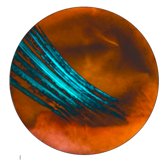 Screen Shot 2026-04-01 at 11.30.41.png