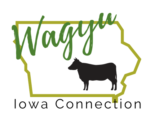 Wagyu Beef | Wagyu Iowa Connection