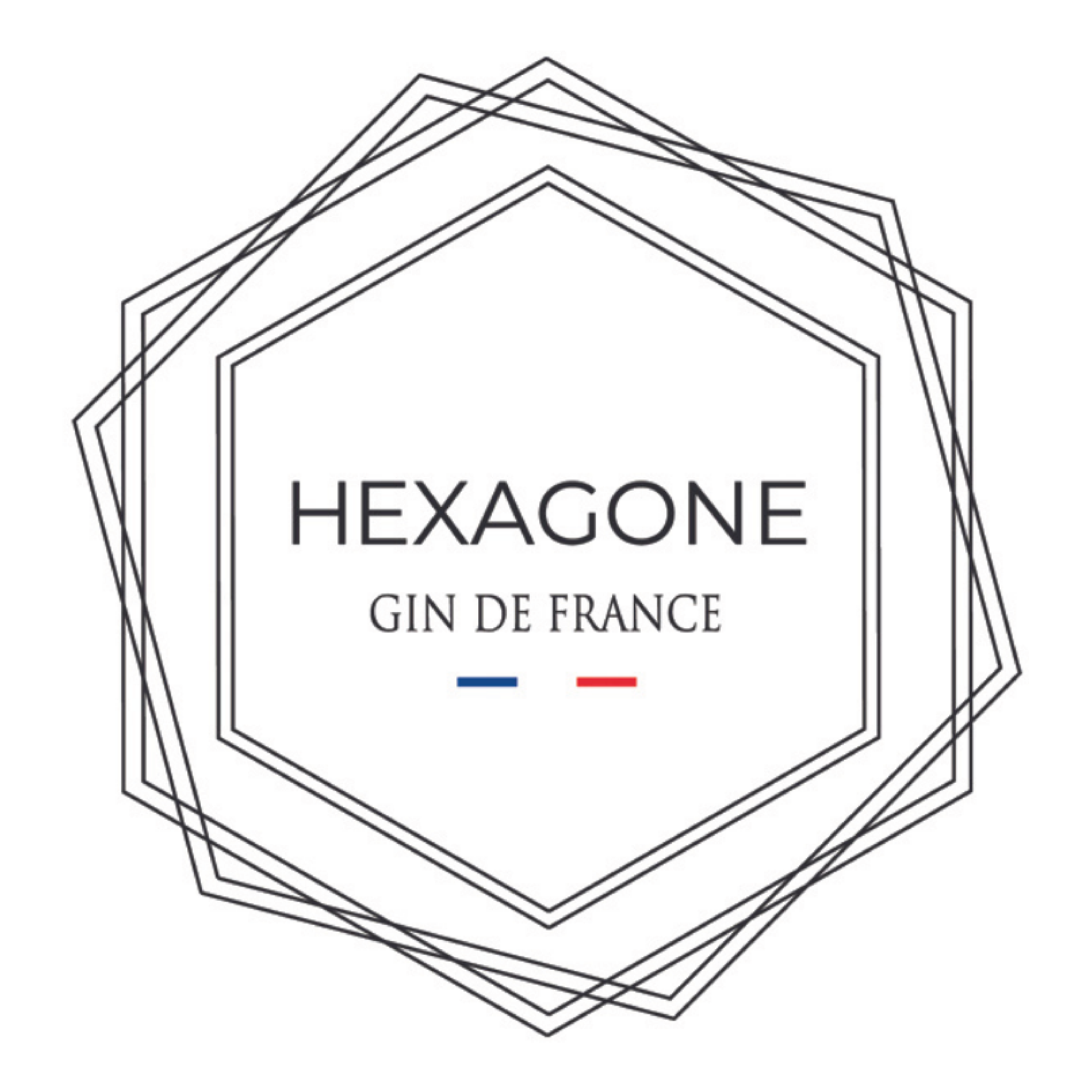 Hexagon Gin-01.png