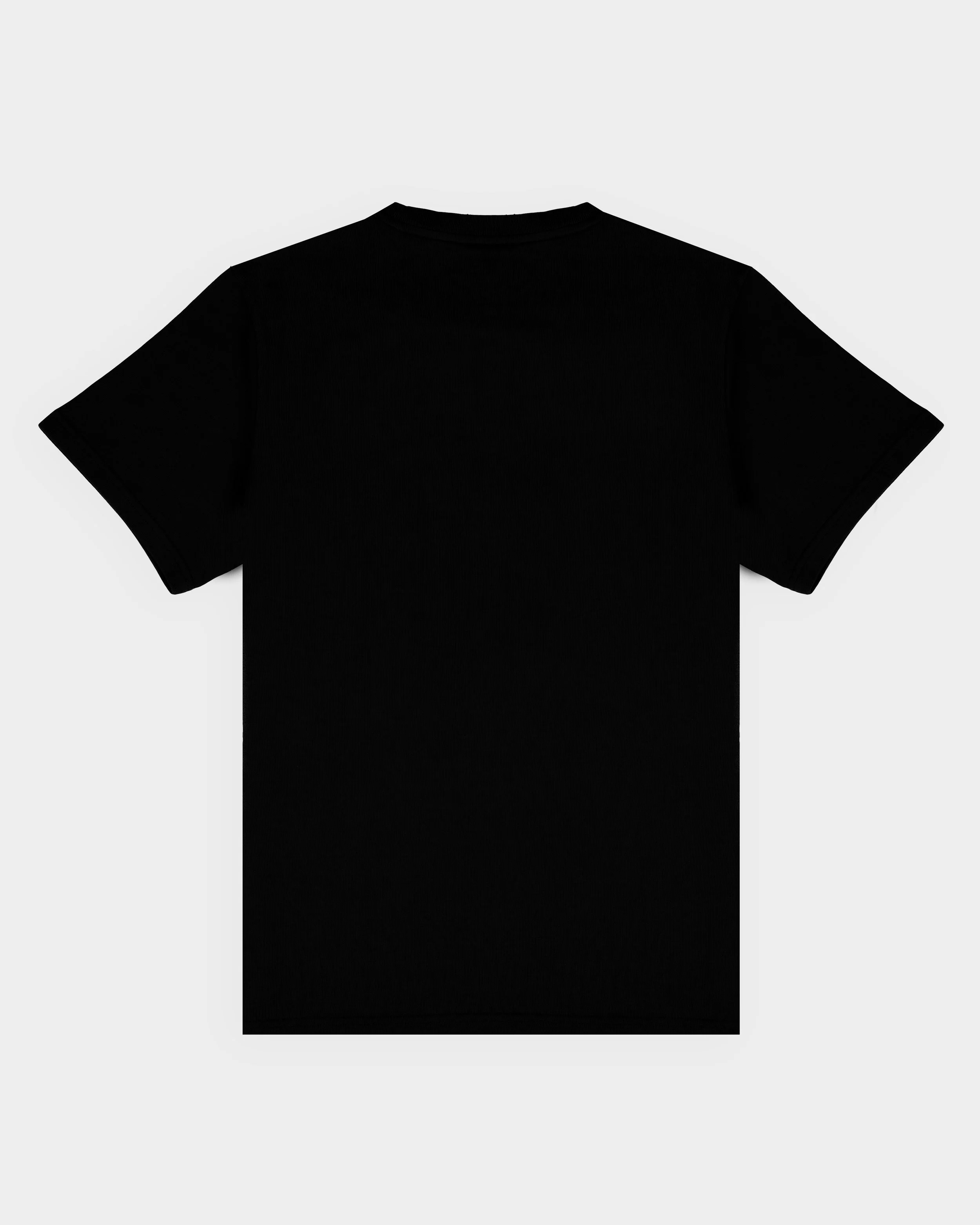 IKON T-SHIRT SS BLACK BACK.jpg