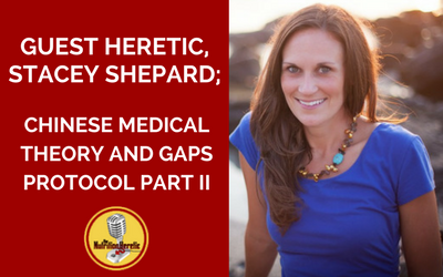 Stacey-Shepard-Chinese-Medical-Theory-and-GAPS-Protocol-Part-II.png
