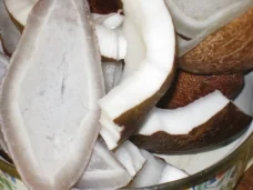 copra and fresh coconut meat