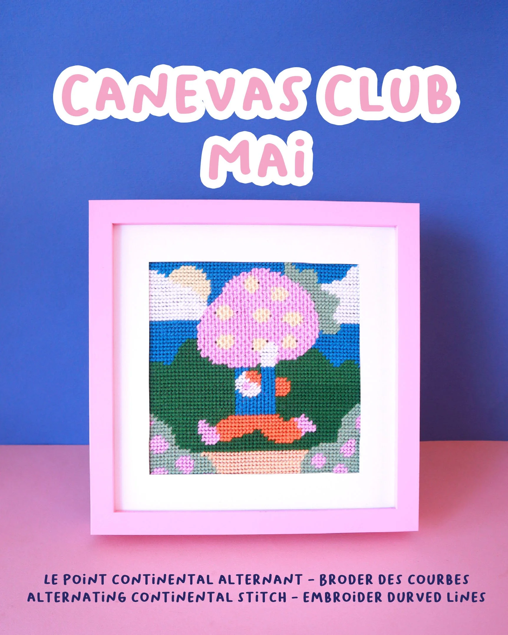 ABONNEMENT - CANEVAS CLUB