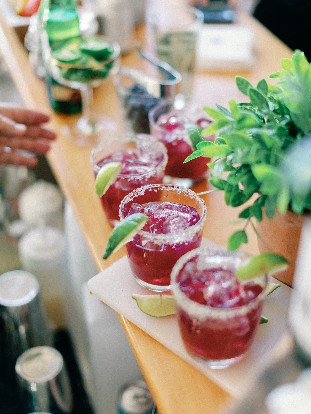 BarHarborWedding_JackieFox_AnnaJohn_CocktailHour_-46.jpg