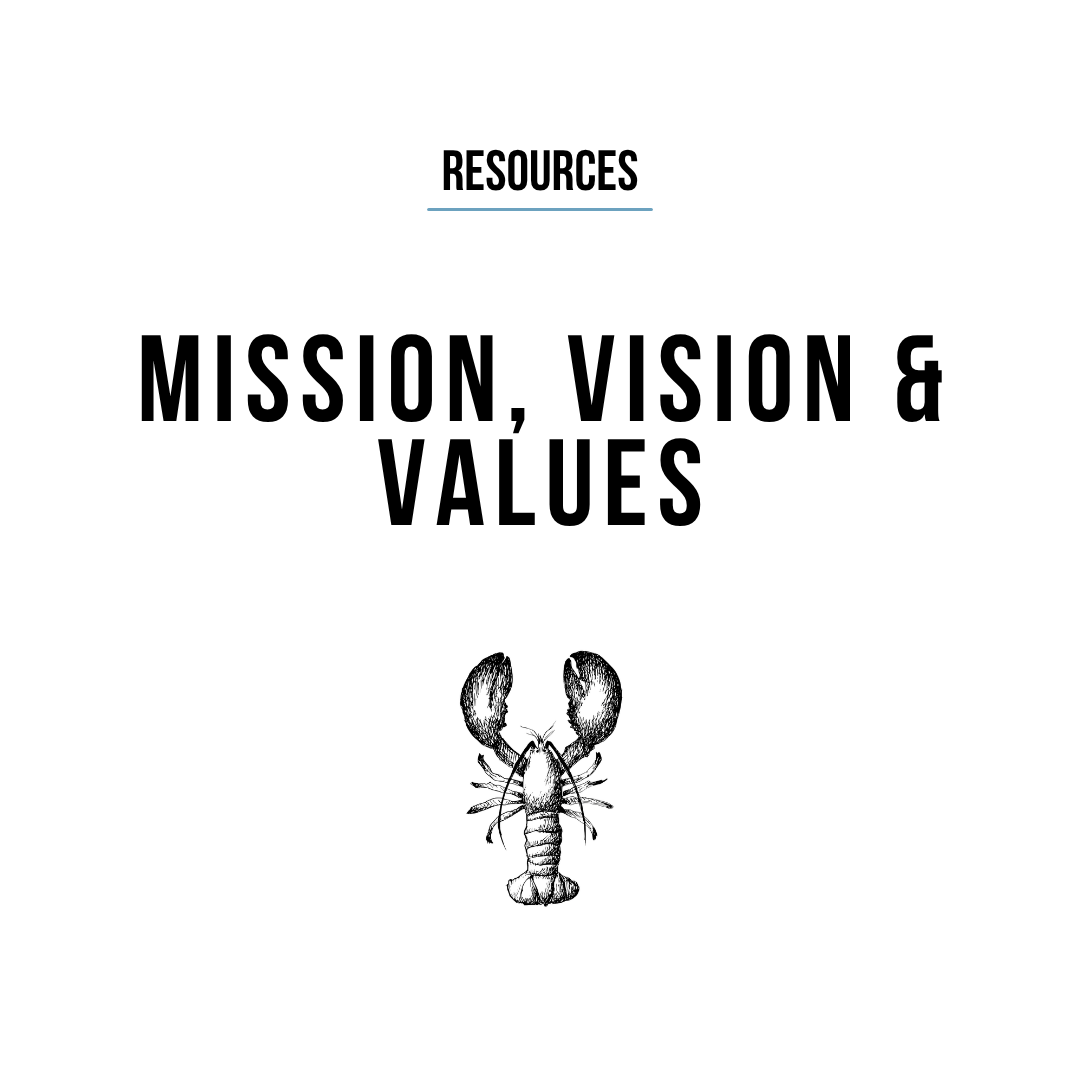 Mission, Vision and Values - Misión, Visión y Valores