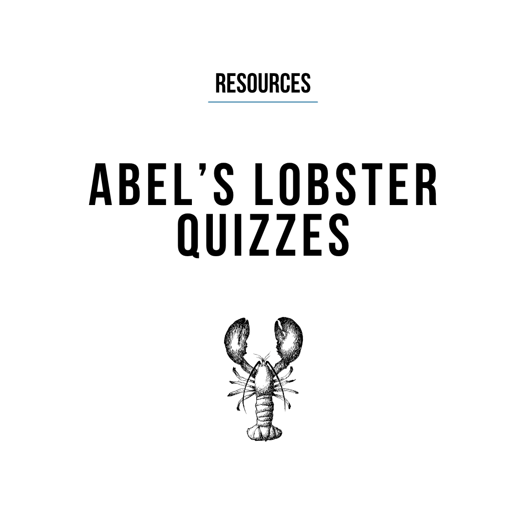 Abel’s staff quizzes