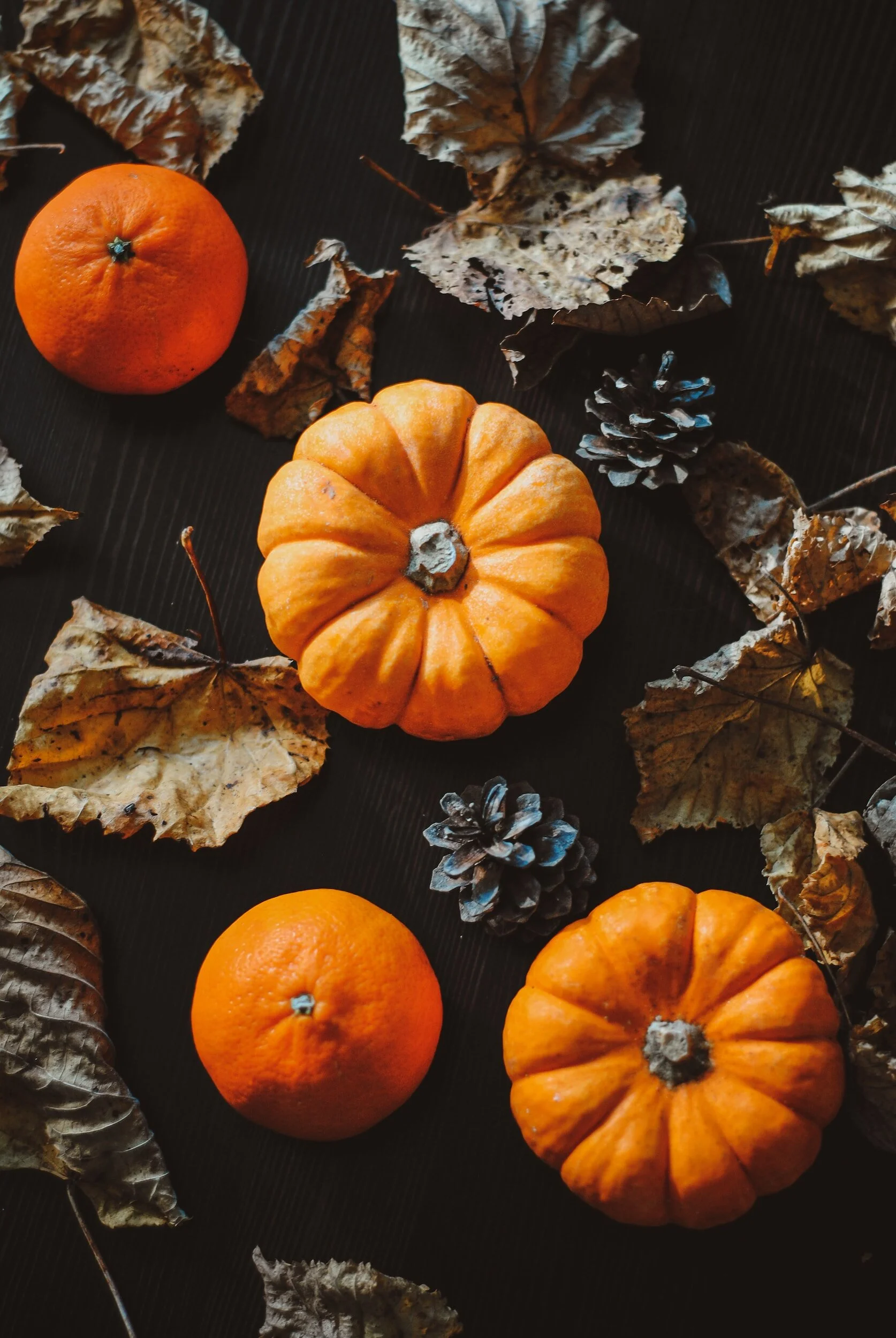 Halloween Themed Speech Therapy Activities