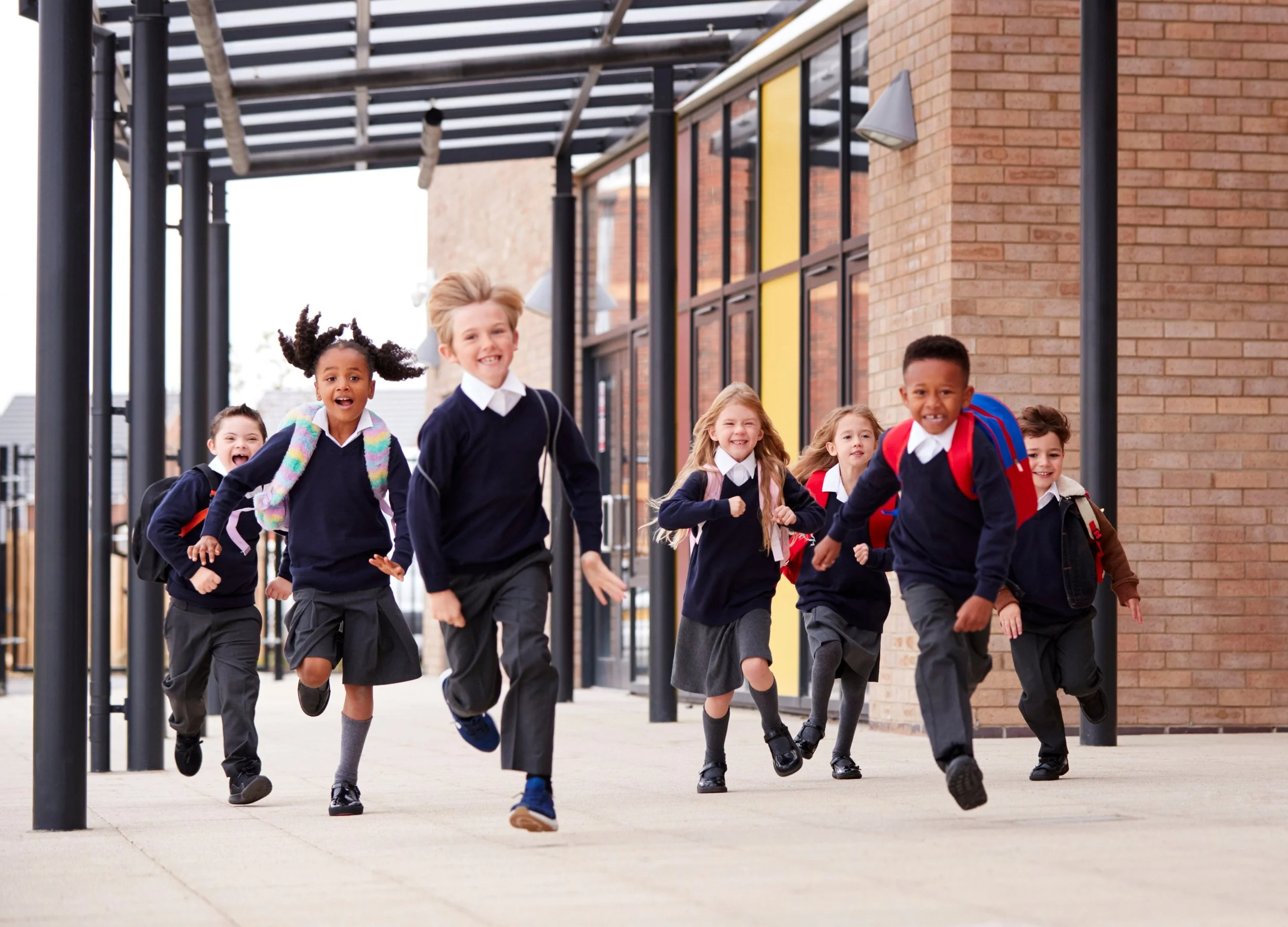  Therapy in Schools and Settings   Bespoke Therapy Packages    School Service Form  