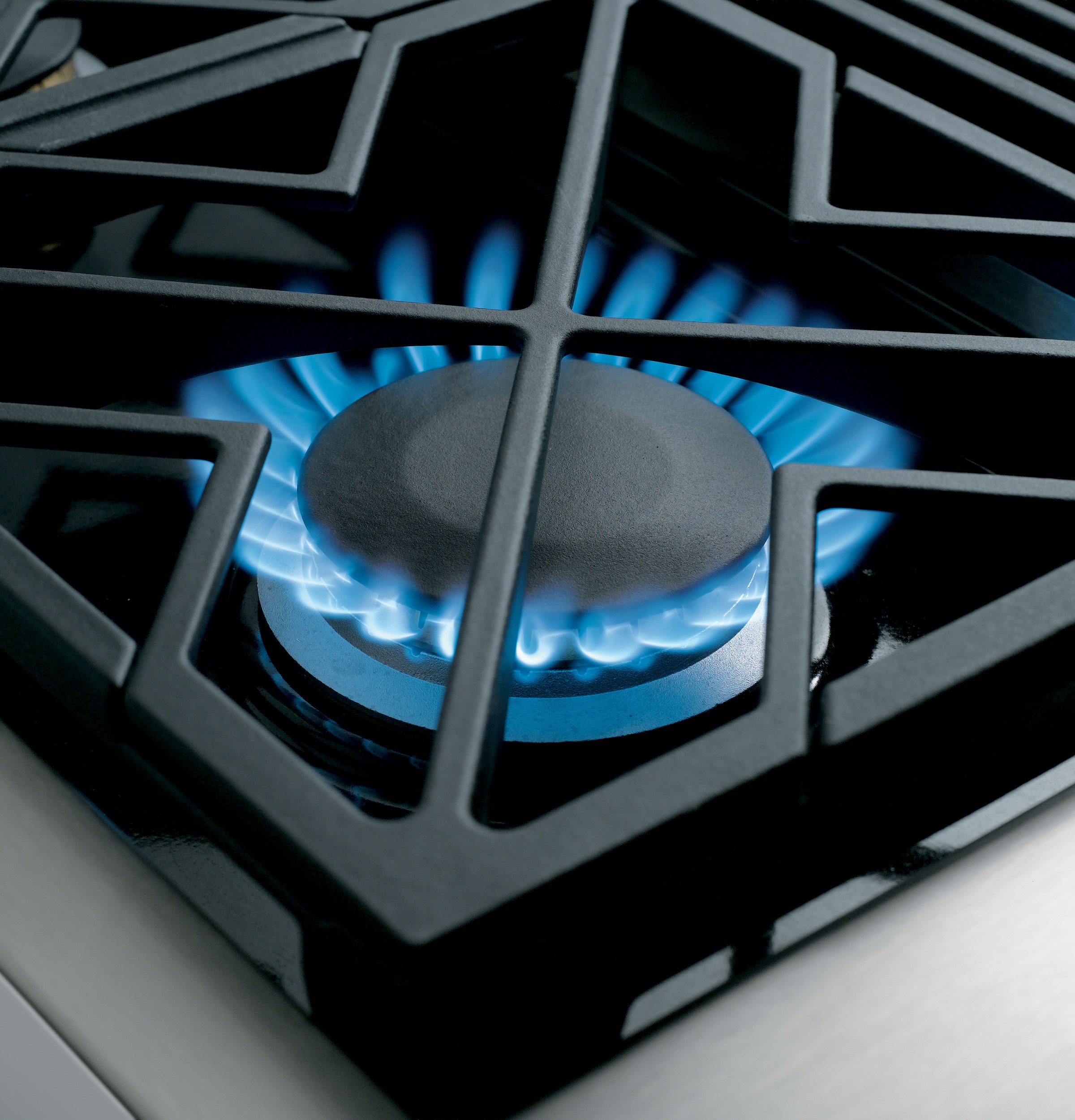 30” All Gas Professional Range with Four Burners