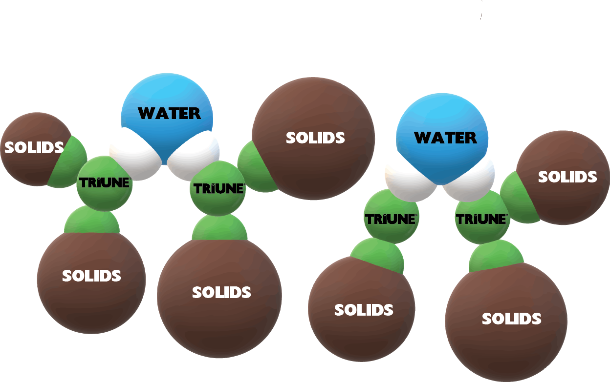 TRIUNE MOLECULE IN ACTION
