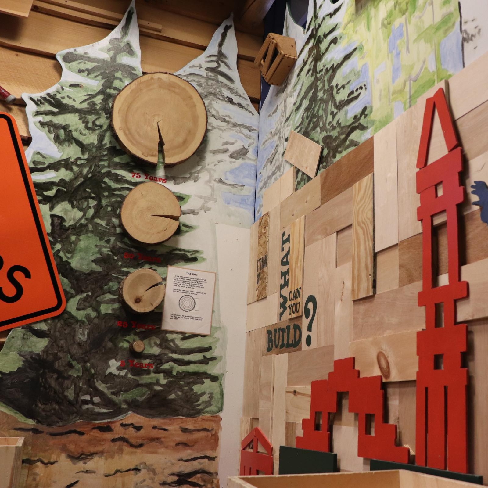 Wall+of+Construction+Zone+in+Tree+to+TImber+%28Photo+By+Simone+Verria%29.jpg