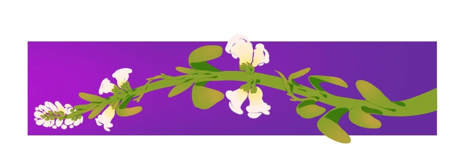 flowers_graphic.jpg