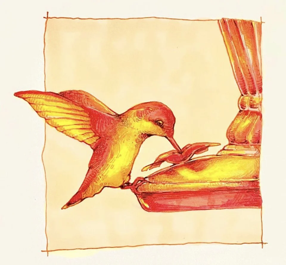 IMG_4378.PNG