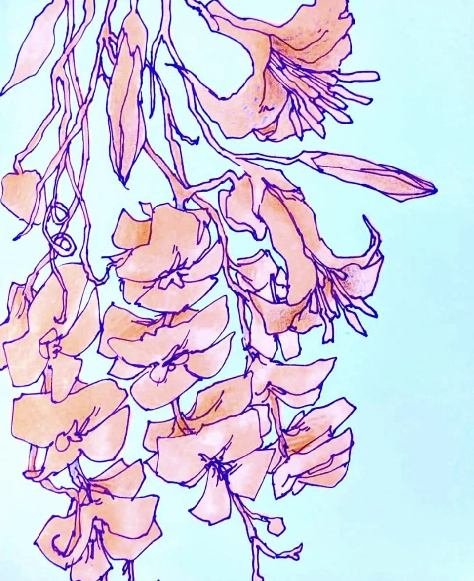 IMG_4382.PNG