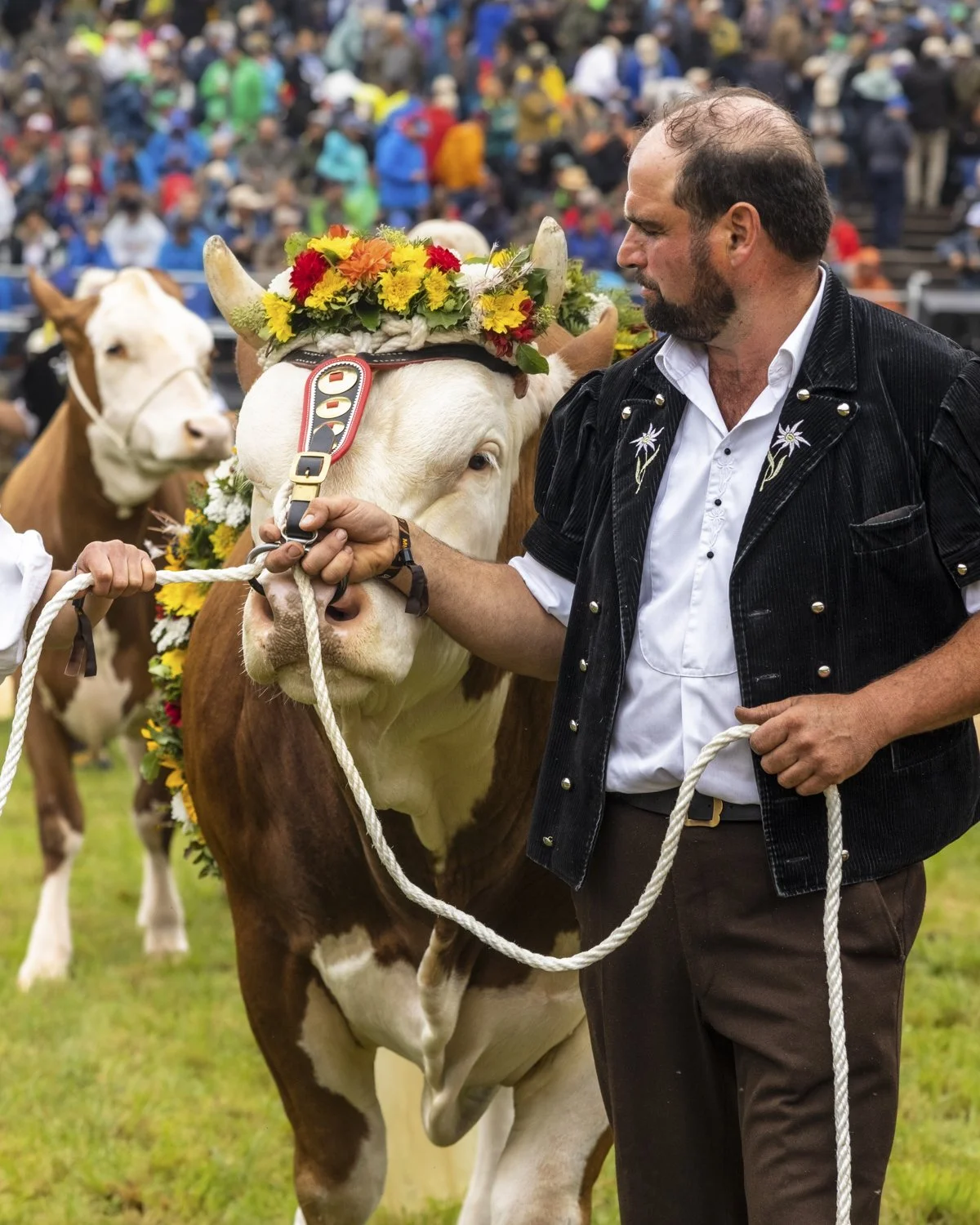 Unspunnen Schwinget 2023 Content-203.jpg
