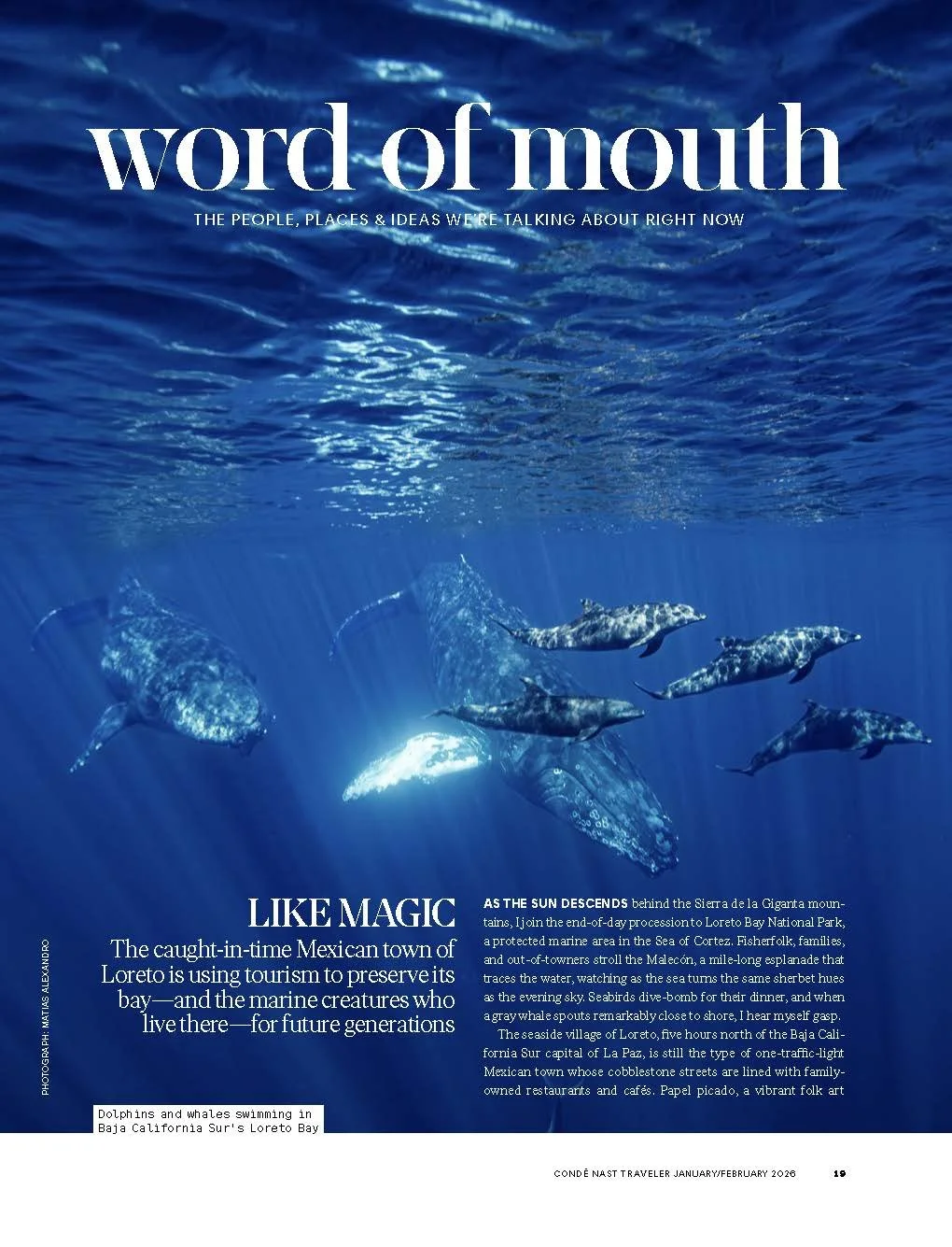 TR0126 (4)_Page_05.jpg