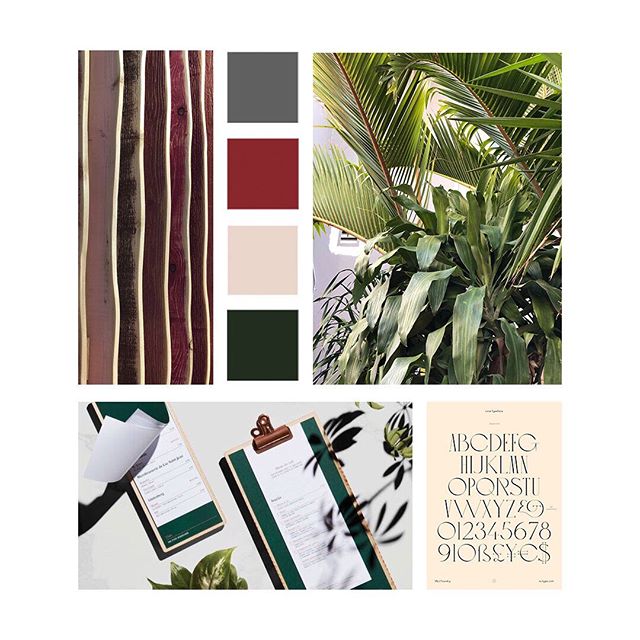 little mood board action for the up &amp; coming restaurant &mdash; The Garden, located @boulansobe ✨ #youshine365 #creatives