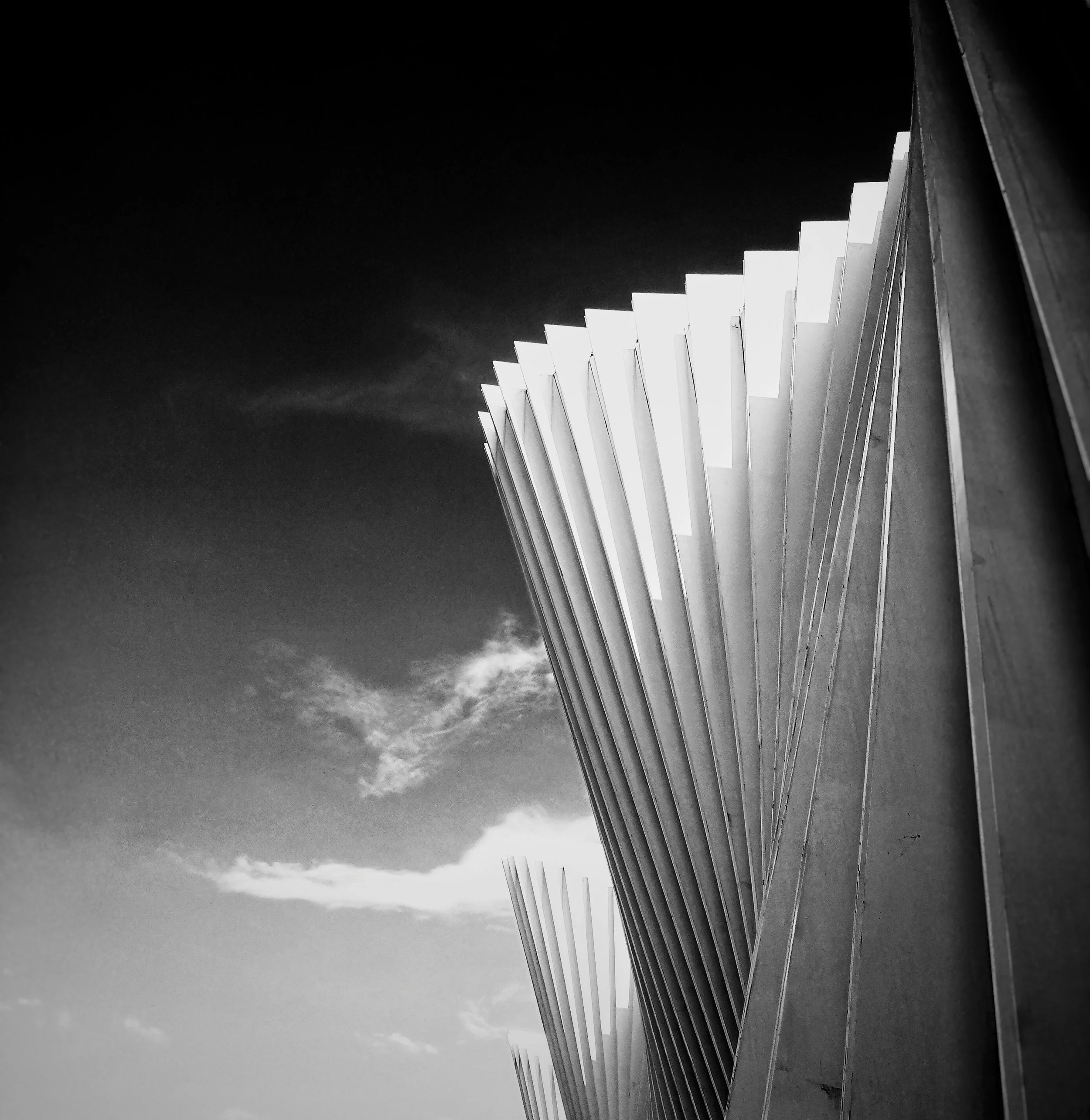 architecture-black-and-white-building-1189653.jpg