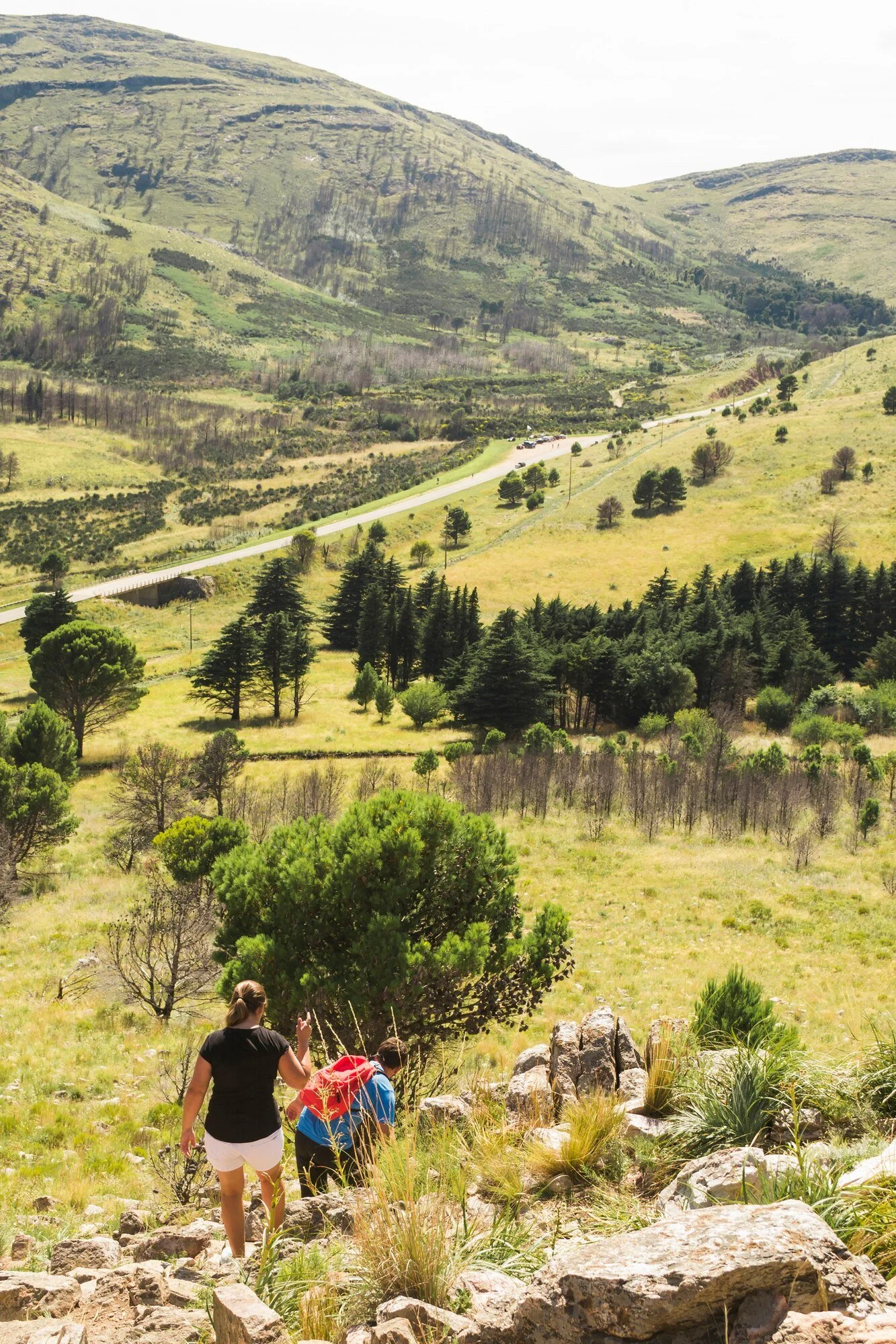 People hiking in a lush, green mountainous area with trees, grassy fields, and a winding road in the distance.