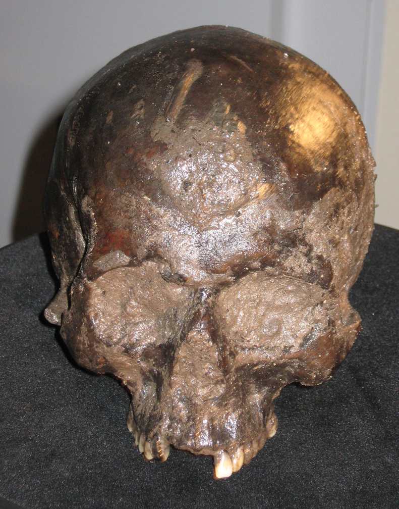 2264-skull.jpg