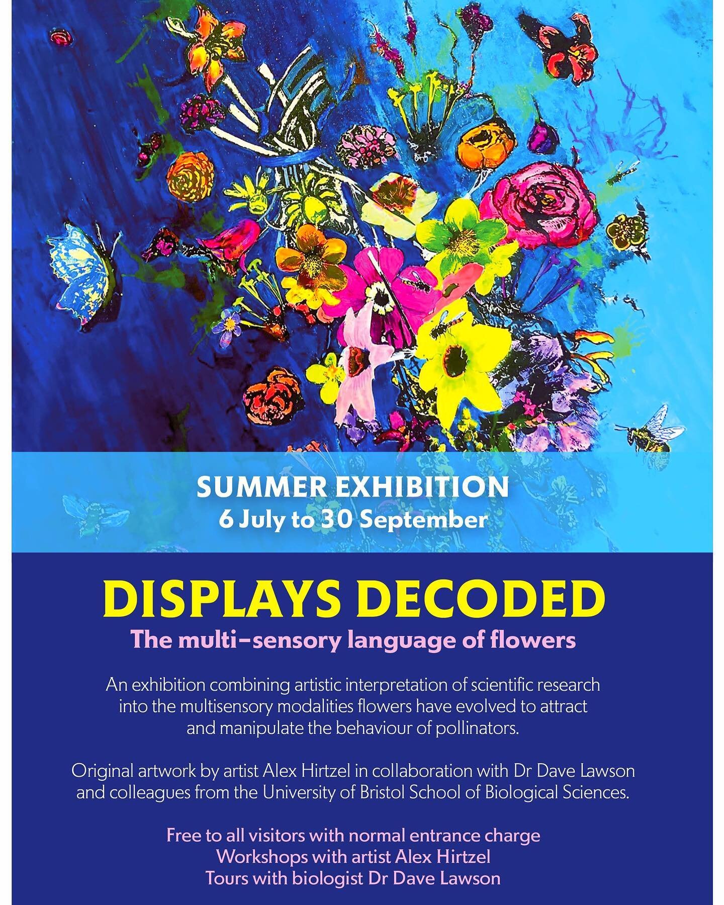 🐝EXHIBITION LAUNCH🐝 final set up day tomorrow w/ @brisbotanicgdn &hellip;so excited to open to the public from Weds! More info from the link in my bio, or msg me with any questions #DisplaysDecoded 🎉🐝