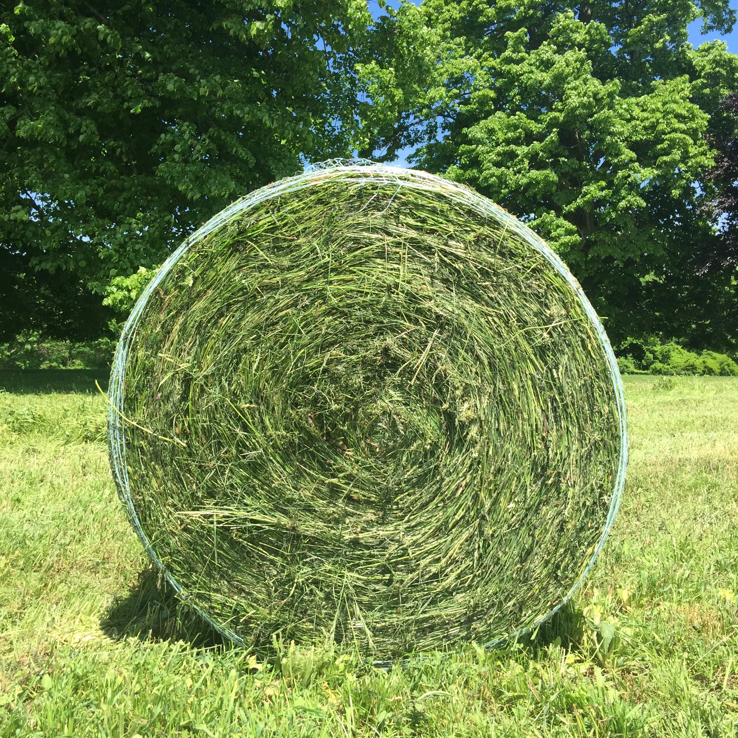 Farm Products