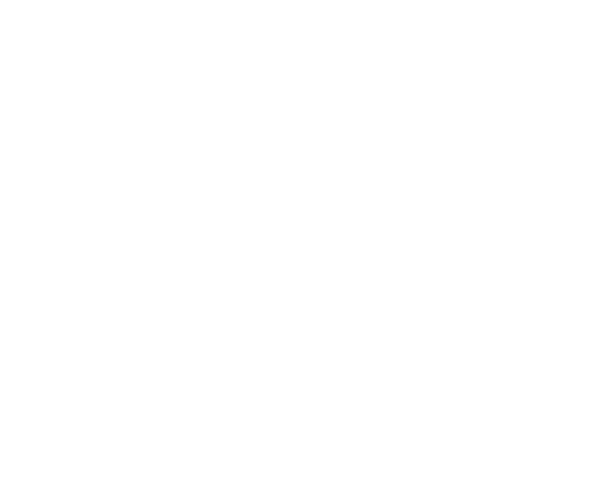 Metrix Inspection Group