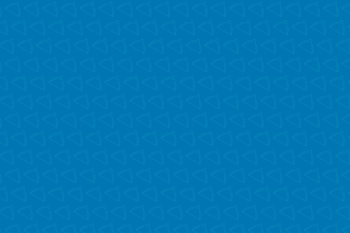 metrix-inspection-group-denver-co-pattern-bg-blue.png