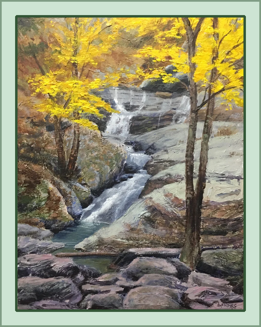 Autumn Forest