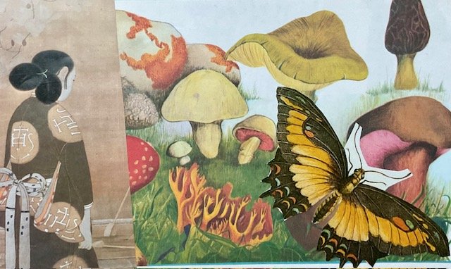 Intuitive Arts w/ Misch Beck