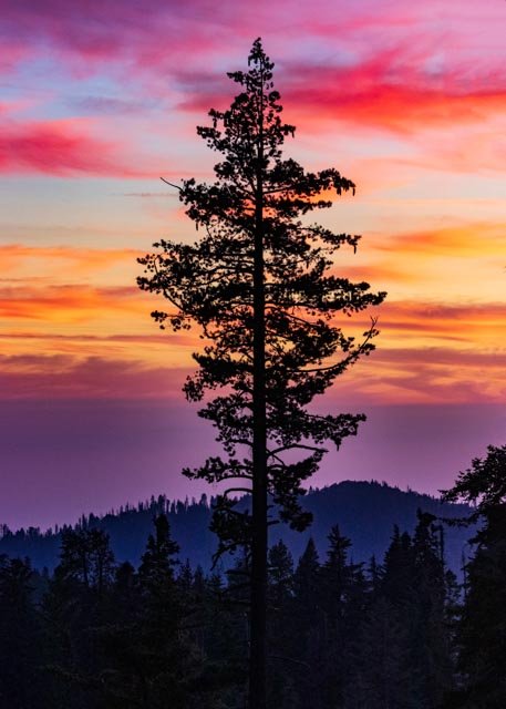 2021-09-05-_MG_4967-Sequoia National Park-Edit.jpg