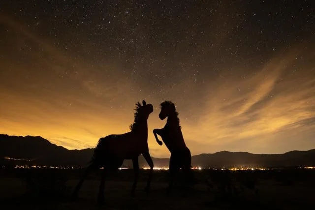 2020-01-25-Borrego Spring-IMG_0244.jpg