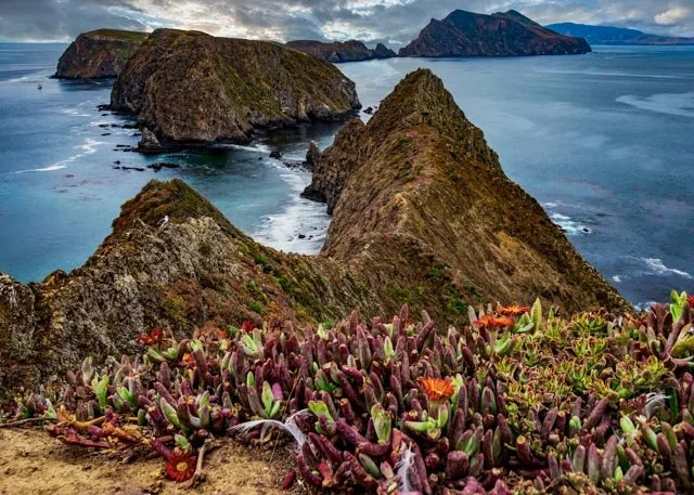 2019-06-02-IMG_8082-Anacapa Island-Edit-Edit-2.jpg
