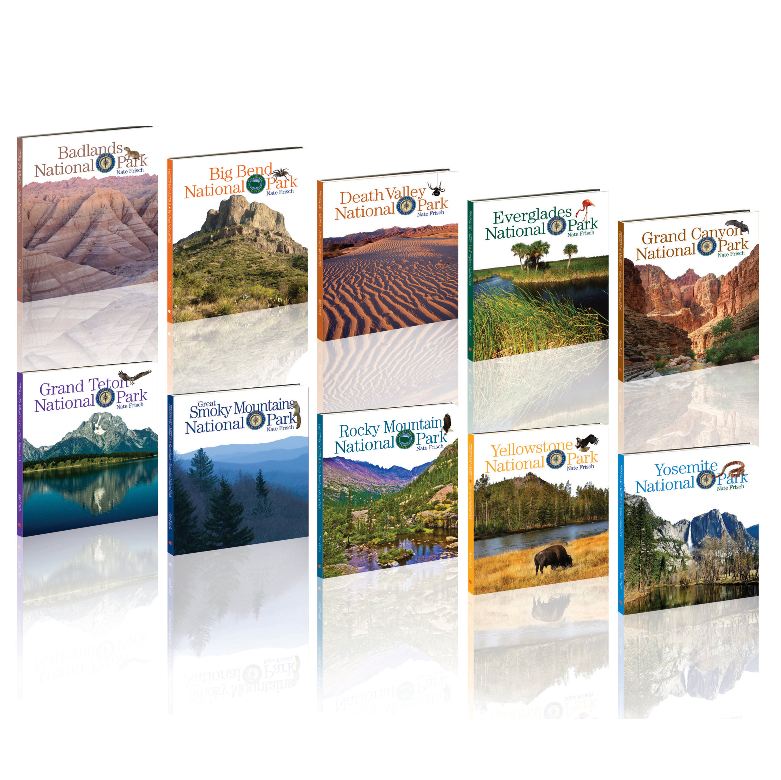 1.NP-Covers-Group.jpg