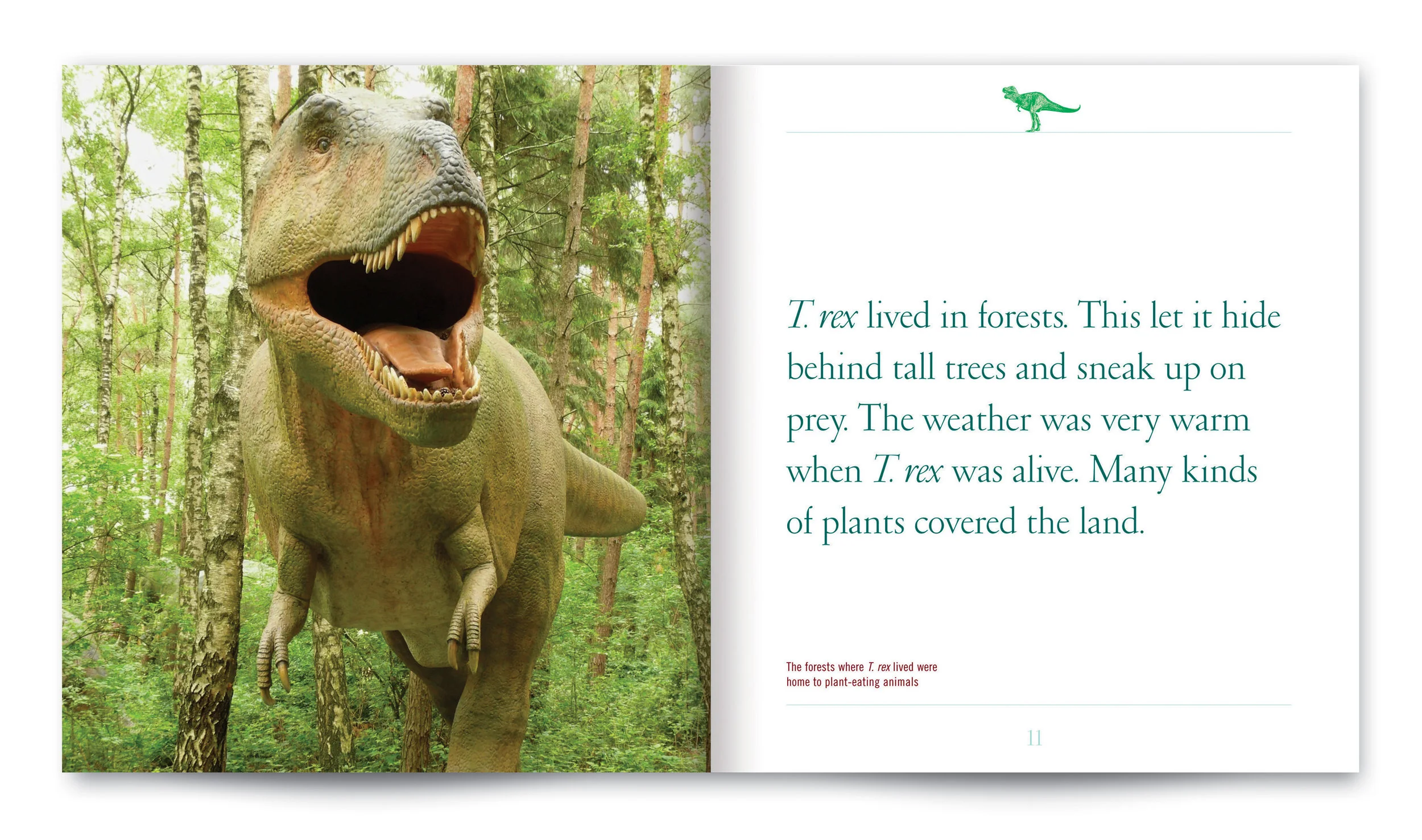 2.Trex_Spread_1.jpg