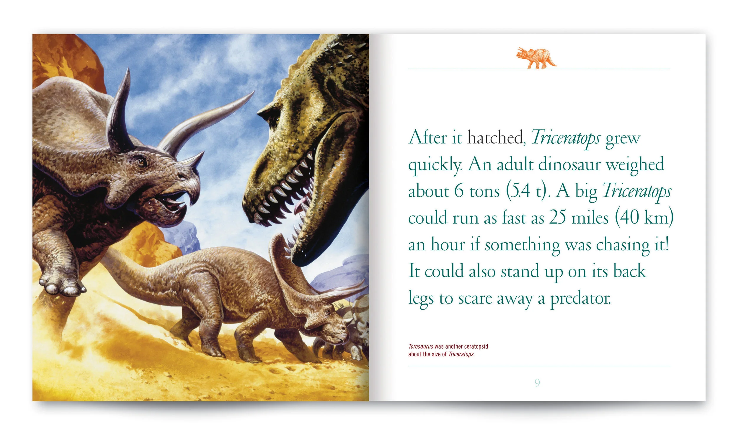 3.Tric_Spread_1.jpg
