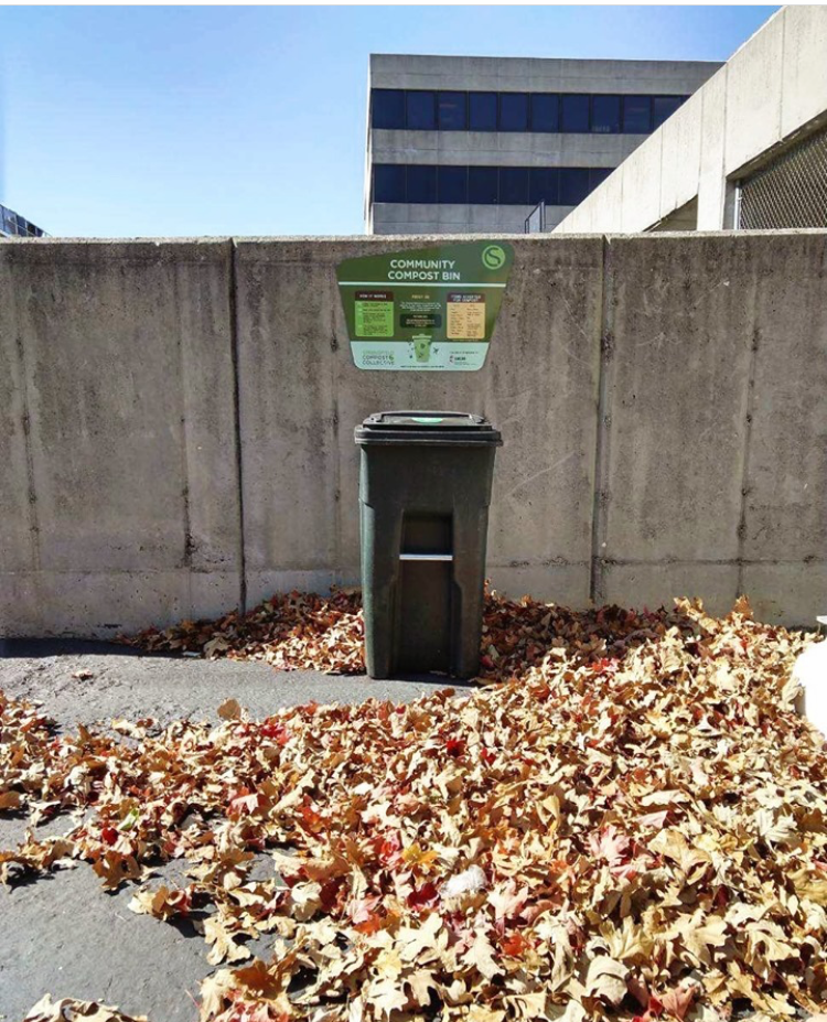 Compost with us — Springfield compost collective