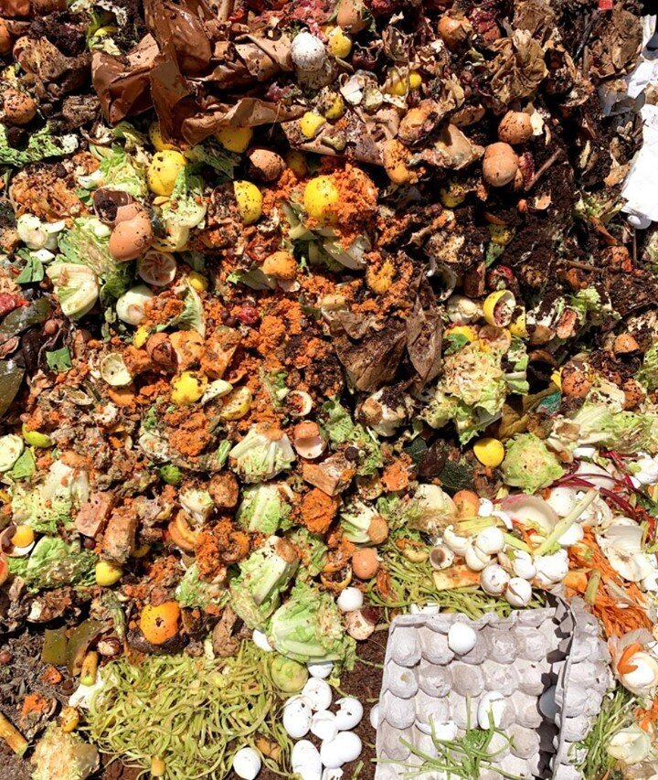 You see trash, but we see gardening gold!⁠
⁠
Why? Well....⁠
⁠
1. Compost has been shown to help suppress disease in the soil leading to healthier and happier plants.
⁠
2. Compost helps soil keep all that much-needed moisture. Did you know it can hold