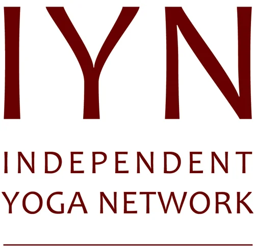 IYN logo 2 (3).jpg