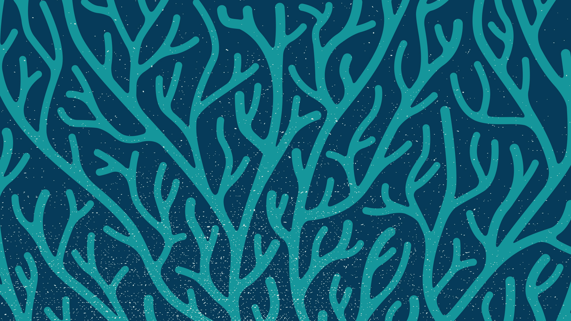 ParadiseTossedBanner1.jpg