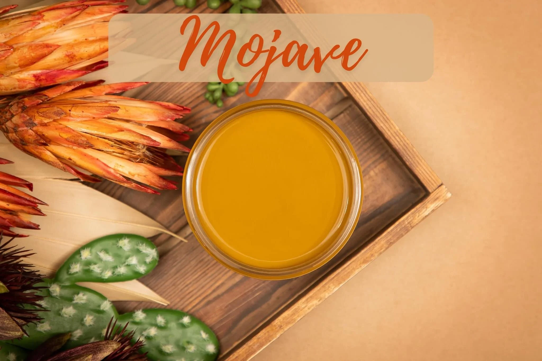 AA7132D0-4EDF-480C-8065-E4139EA748BC