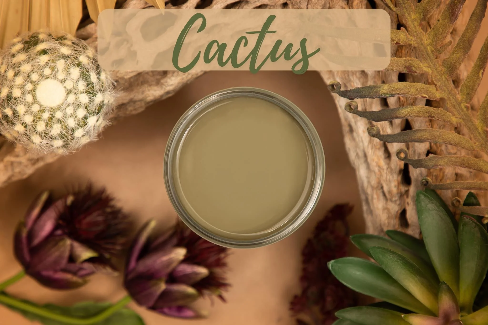 206183CF-ED12-4CF6-BA72-CD52DB2DFA0F