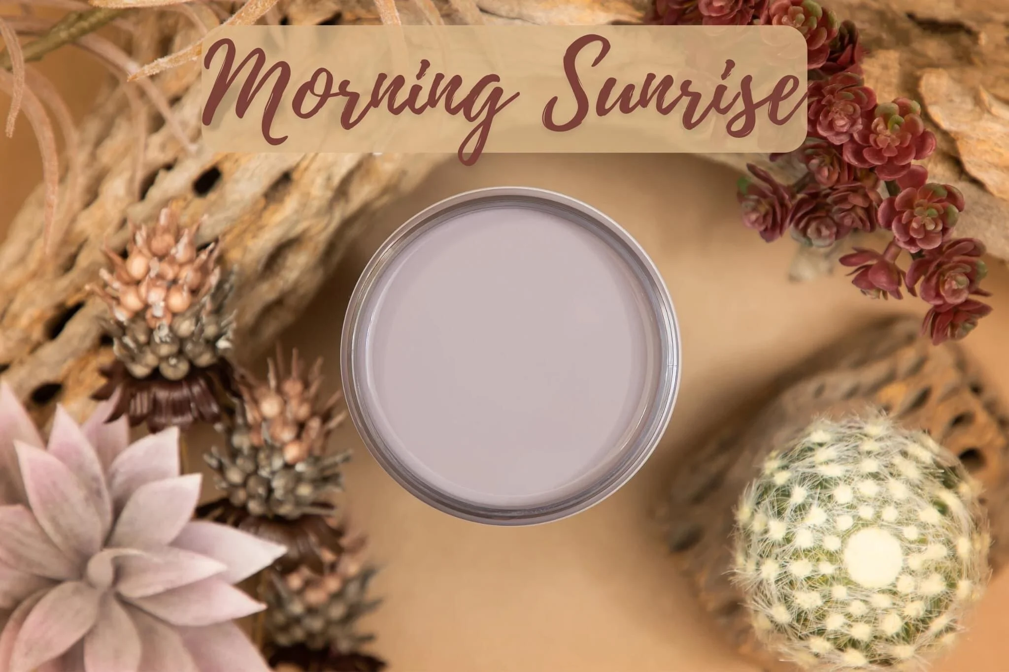 2DEDADDD-F1AF-4037-8720-D37F7847C0AD