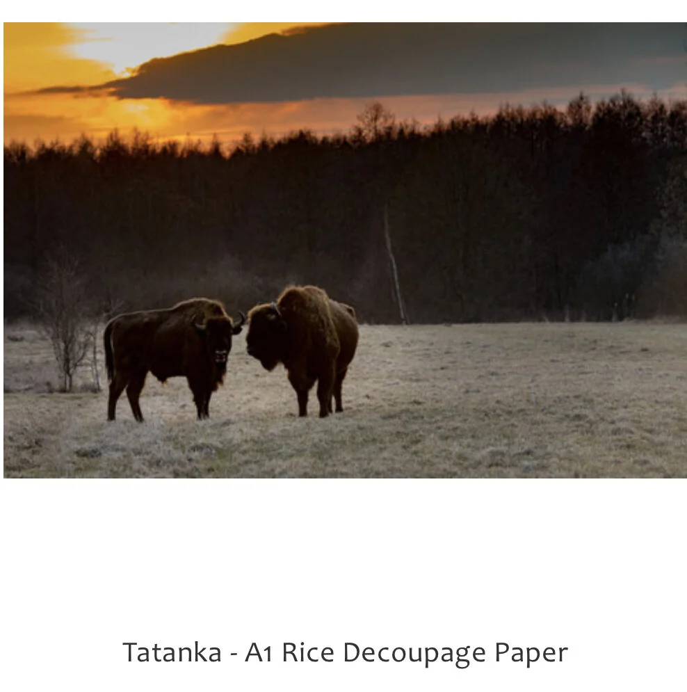 ABFD397C-D5FD-41E3-9F8B-F239EF63809E