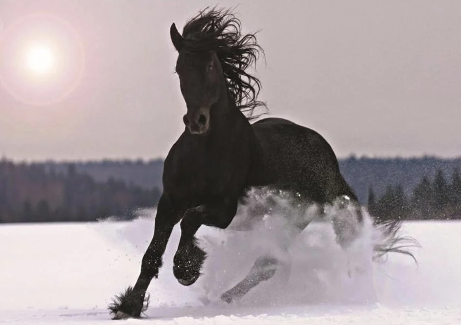 22EA352E-0A23-4440-93EB-E6F2A819DD37